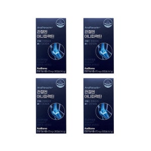 에이스바이옴 차인표 관절엔 아나파랙틴 천심련 추출물 4박스 4개월분 아나 파렉틴 천십년