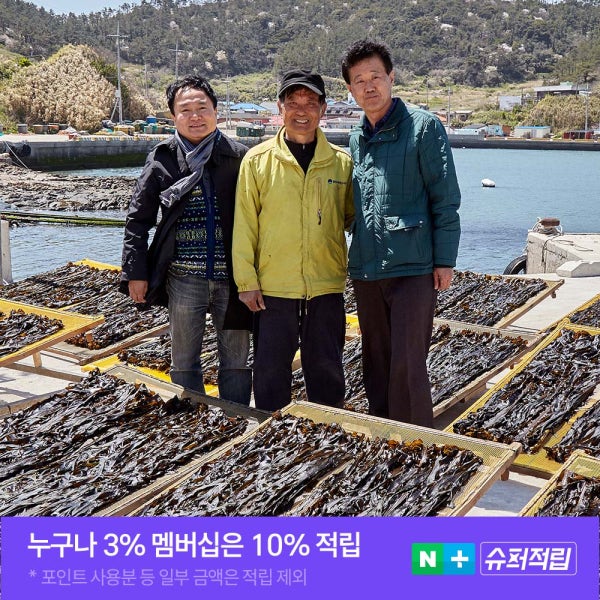 [26년 4월 채집] 최상급 자연산 진도 산모 돌미역 건미역 650g 돌각