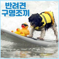 반려견수영복 물놀이튜브 강아지수영교실 애완견 초소형견 강아지구명조끼