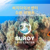 스킨스쿠버 (초급, 중급, 상급) 라이센스 과정 [써지다이브센터]