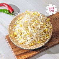 콩나물 무농약 친환경 국산콩 100% 산소콩나물 1kg 2kg