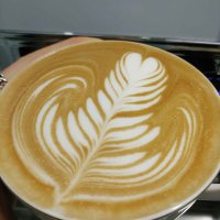 [서울] 와이든커피 카페에서 배우는 기초 커피 원데이클래스