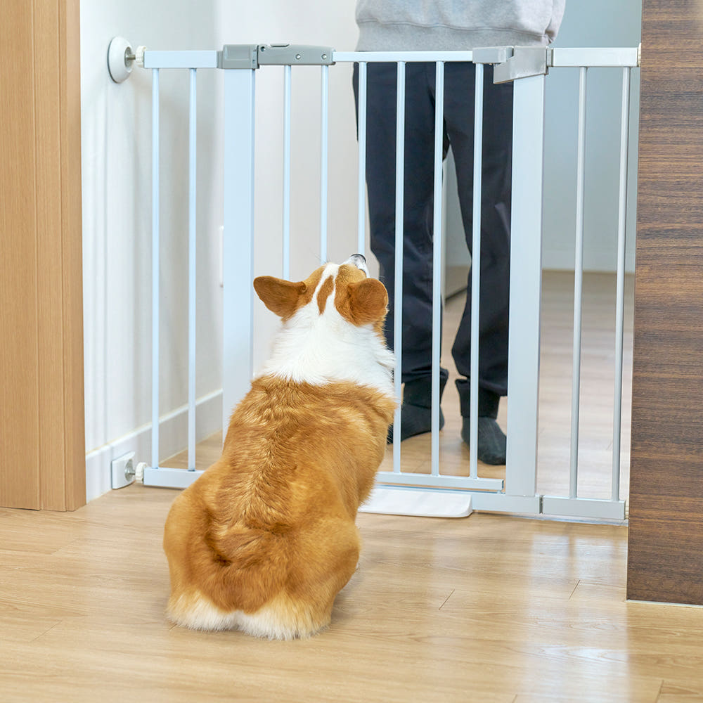리포소펫 강아지 울타리 애견 펜스 소형 안전문