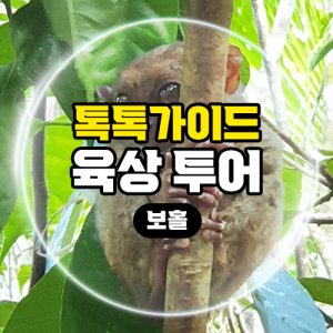 보홀육상투어 최저가 가성비상품