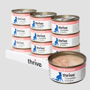 쓰라이브 캔 컴플리트 고양이 습식사료 주식캔 참치+연어, 75g, 12개