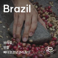 에딧 브라질 빈할 빠다코코넛(ML51) 200g