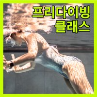 이브다이브 프리다이빙 체험 자격증과정 학생-강사 단일 및 패키지 제로투히어로 프리다이버