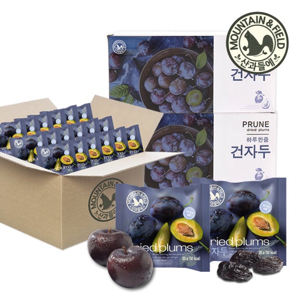 산과들에 하루건자두 20봉 박스 / 20g x40봉 (푸룬)