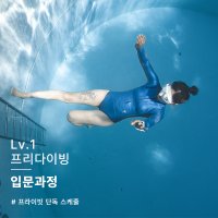[2인이상 단독수업] 프리다이빙 강습 입문자격증 (Lv1) 서울 경기 AIDA SSI PADI