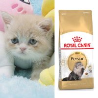 (최신품)로얄캐닌 고양이밥 페르시안 어덜트 2kg 전용 사료