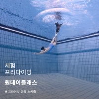 [2인이상 단독수업] 프리다이빙 강습 원데이클래스 체험 서울 경기 AIDA SSI PADI