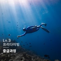 프리다이빙 강습 입문자격증 (Lv3) 서울 경기 AIDA SSI PADI