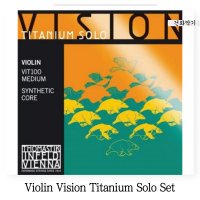 바이올린 비전 티타늄 솔로 세트 / Vision Titanium Solo Set