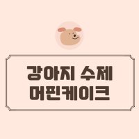 [아반테이블] 강아지 생일 컵케이크 강아지 고양이 얼굴 커스텀케이크