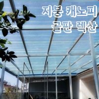 지붕 투명 골판 폴리카보 캐노피 렉산 빗물받이 슬레이트 지붕판넬 방수 FRP덮개 패널 공사