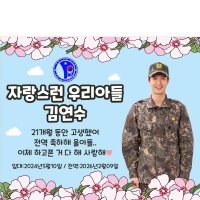 D2963 전역 현수막 / 군대 임관 입대 제대 현수막 승진 진급 축하 가로형 소