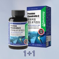 Chondroitin Sulfate 콘드리치 군대PX영양제 PX영양제 코스트코콘드로이친