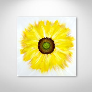 [Gallery Edition] 풍수 인테리어 돈들어오는 해바라기 그림 캔버스액자