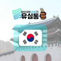 한국eSIM KT LTE 무제한 데이터전용 선불e심 3일