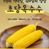 코이민공구- 초당옥수수