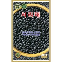 서리태 30g 완도콩 강낭콩 서리태 백태 팥 땅콩 콩나물콩 KS종묘 23년