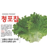 청포찹