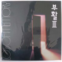 [LP/NM NM] 부활 3집 초반 - 기억 상실 소나기&사랑할수록