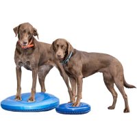 American FitPAWS Balance Disc 핏퍼스 핏퍼즈