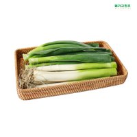 메가그린즈 국내산 대파100g 깐대파