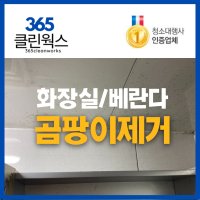 365클린웍스 욕실곰팡이제거업체 베란다곰팡이제거