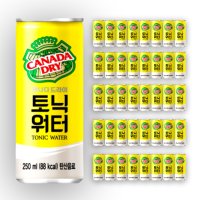 캐나다 드라이 레몬향 탄산수 토닉워터 250ml 40캔