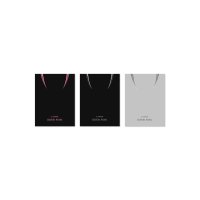 [3종 선택] 블랙핑크 (BLACKPINK) - 정규 2집 앨범 [BORN PINK] BOX SET ver.