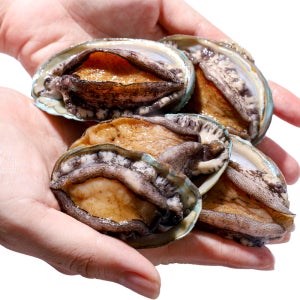 활전복 1kg 13미 16미 꼬마 완도 산지직송 특대 손질전복 전복구이 국내산 선물세트