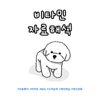 자료해석 비타민 올컬러 A4 스프링 제본 (고화질)