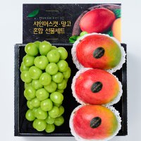 프리미엄 샤인머스캣&애플망고 선물세트 (1.8kg, 4입)