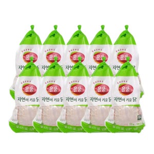 올품 국내산 냉장 무항생제 육계 통닭 11호 X 10수 백숙용 생닭 업소용 대용량