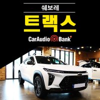 쉐보레 트랙스 크로스오버 포칼 스피커 165AS