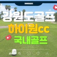 하이원cc