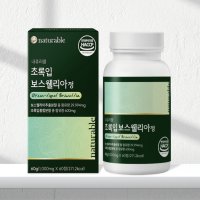 보스웰릭산 초록홍합 보스웰리아정 보스웰리아 추출물 보수엘리아 1000mg 60정