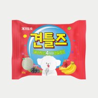 견틀즈 4가지 과일맛 80g 강아지 기능성간식 소프트간식