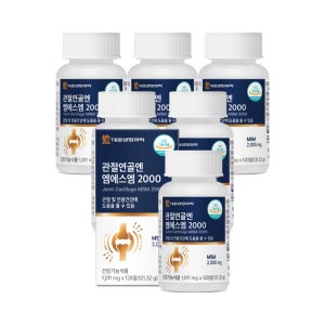 대웅 관절연골 엠에스엠 12개월분 미국산MSM