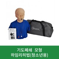 하임리히법 교육 실습 훈련 연습 기도폐쇄모형 청소년용 학교 기관