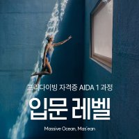 프리다이빙 레벨1 입문 자격증 강습 교육 서울 경기 마션프리다이빙