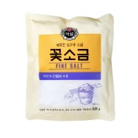 CJ 제일제당 백설 꽃소금 500g