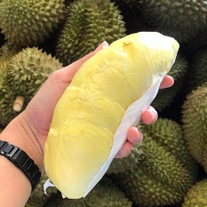 두리안 생과일 태국산 열대과일 바로먹는 위생포장 생두리안 500g 1팩