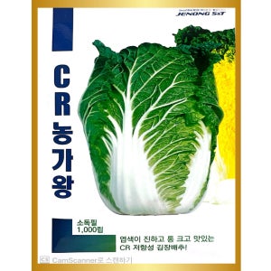 통이큰 김장배추 가을김장배추종자 CR농가왕 1000립