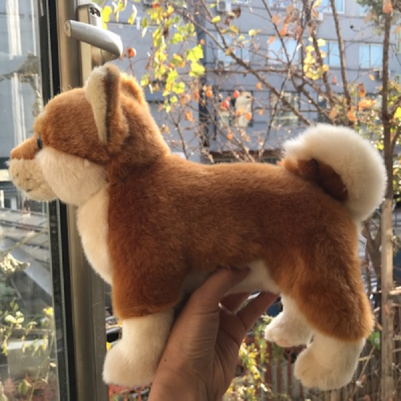 시바견 (Shiba Inu)
