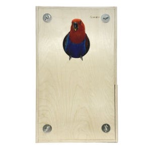 버펠 대형 앵무새 외부 알통(둥지) 뉴기니아 아마존 회색 새집 나무 집