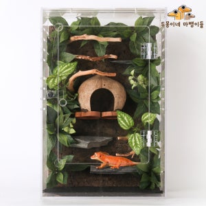 두몽이네 마뱀이들 사육장 풀세트 크레스티드게코