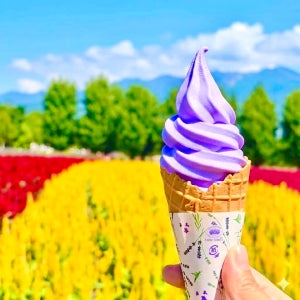 [마이재팬] 비에이 버스투어 / 삿포로출발 호텔런치 & 넉넉한 체류시간 / 하차2곳